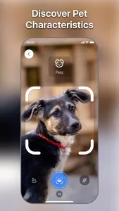 Lens Scan: Identify Anything screenshot 3
