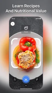 Lens Scan: Identify Anything screenshot 5
