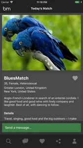 Blues Match screenshot 1