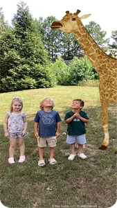 Rugs alive™ Plus screenshot 4