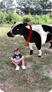 Rugs alive™ Plus screenshot 5