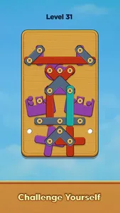 Nuts & Woods: Screw Puzzle screenshot 2