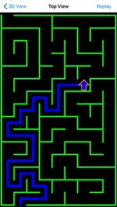 Maze Walk screenshot 1