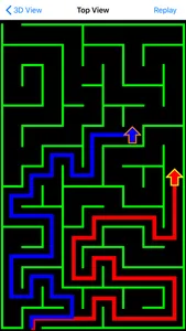 Maze Walk screenshot 2