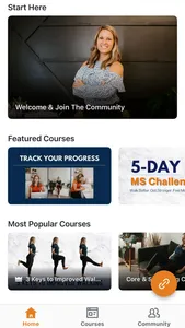 The MSing Link screenshot 1