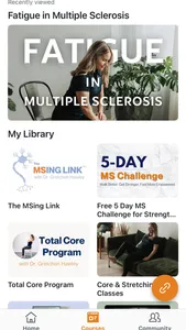 The MSing Link screenshot 2