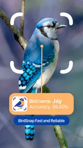 BirdSnap: Bird Identifier ID screenshot 0