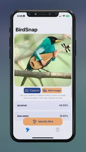 BirdSnap: Bird Identifier ID screenshot 1