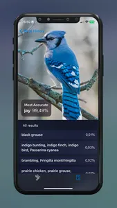 BirdSnap: Bird Identifier ID screenshot 4