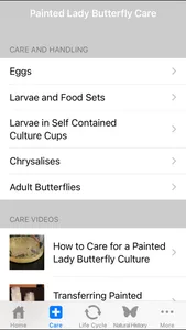 Painted Lady Butterflies Lite screenshot 1