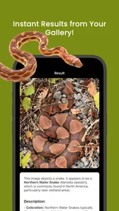 Snake ID - reptile identifier screenshot 2
