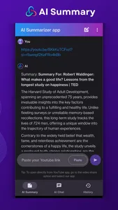 AI Summary screenshot 1