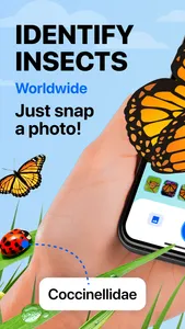 Bug Identifier: Insect ID (AI) screenshot 0