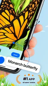 Bug Identifier: Insect ID (AI) screenshot 1