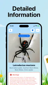 Bug Identifier: Insect ID (AI) screenshot 2
