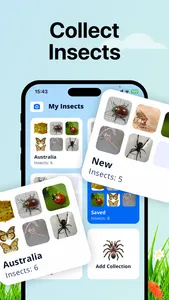 Bug Identifier: Insect ID (AI) screenshot 3