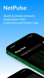 NetPulse: Network Ping Master screenshot 0