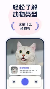 Gulu: bug identifier screenshot 2