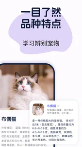 Gulu: bug identifier screenshot 3