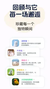 Gulu: bug identifier screenshot 4