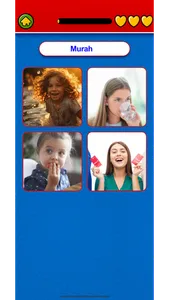 Learn Malay Flashcards screenshot 3