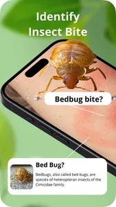 Insect Bite Identification screenshot 0
