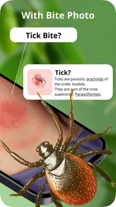Insect Bite Identification screenshot 1