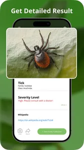Insect Bite Identification screenshot 3