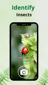 Insect Identifier: Picture AI screenshot 0