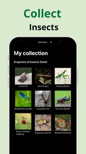 Insect Identifier: Picture AI screenshot 2