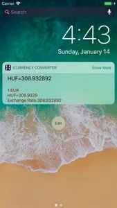 iCurrency Exchange Converter screenshot 5