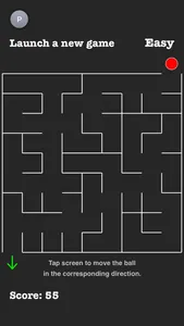 Infinity Maze screenshot 0