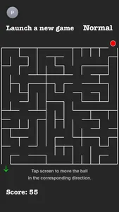 Infinity Maze screenshot 1