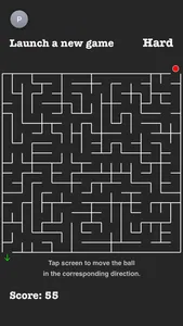 Infinity Maze screenshot 2