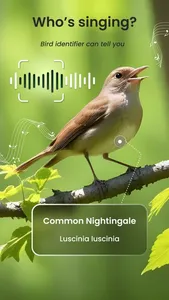 Bird Identifier: Aves Sound ID screenshot 0