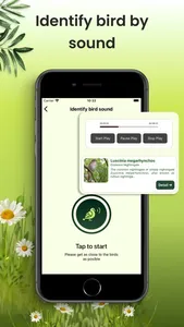 Bird Identifier: Aves Sound ID screenshot 2
