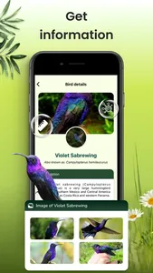 Bird Identifier: Aves Sound ID screenshot 4