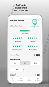 REMYTAX screenshot 6