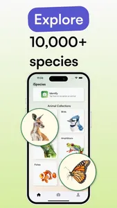 Animal Identifier - iSpecies screenshot 2