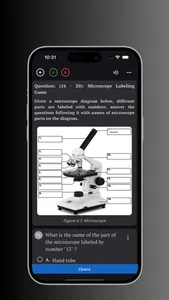 Bright Study screenshot 2