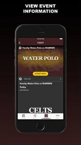 Crespi Celts screenshot 3