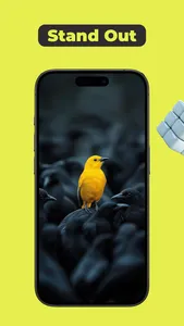 Live Wallpaper & 4K - WallPix screenshot 0