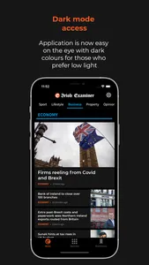 Irish Examiner News screenshot 5