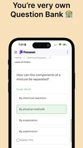 Penseum screenshot 3