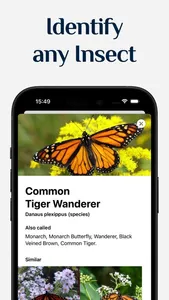 Bug Identifier & ID Insect screenshot 1