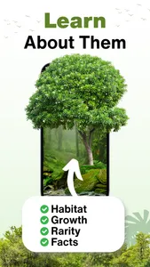 Tree Identifier - AI Scanner screenshot 1