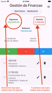 Gastos Diarios: Finanzas screenshot 4