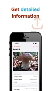 Mushrooms Identifier: AI Scan screenshot 2