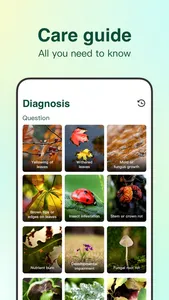 AI Agent - Chat bot Assistant screenshot 2