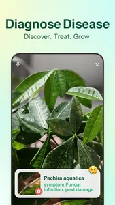 AI Agent - Chat bot Assistant screenshot 3